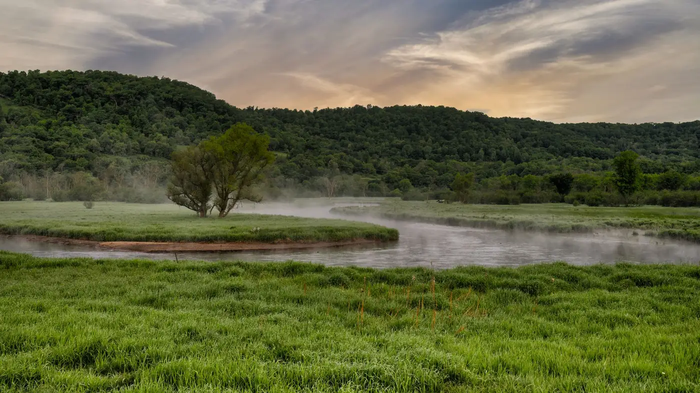 Mist rising off a river winding through green pasture at dawn, with wooded ridges behind and a single willow on the bank