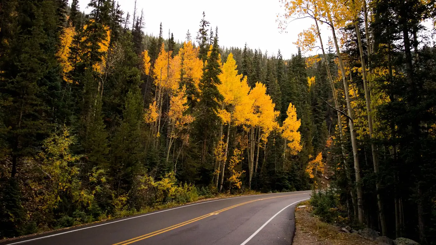 A two-lane road curving through golden aspens and evergreen forest in the Colorado mountains