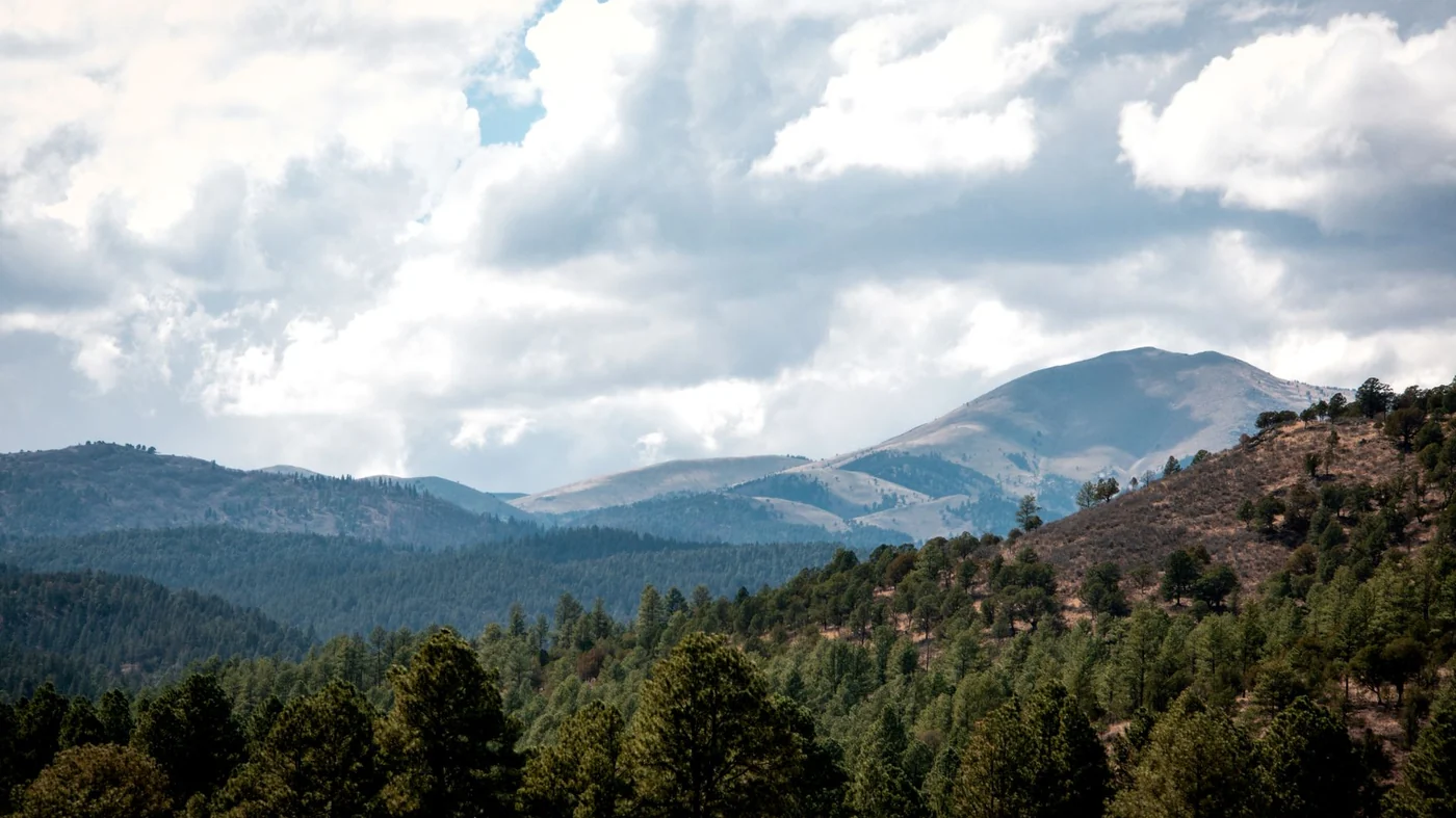 Forested mountain slopes under heavy cloud, with pine ridges running back into the distance