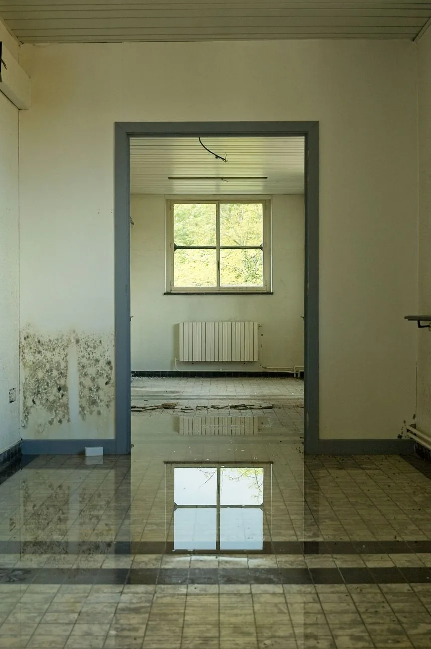 Room with standing water on the floor and mold spots on the wall